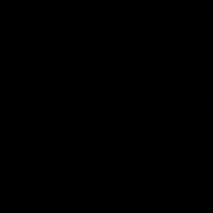 Meet your Posher, Carter